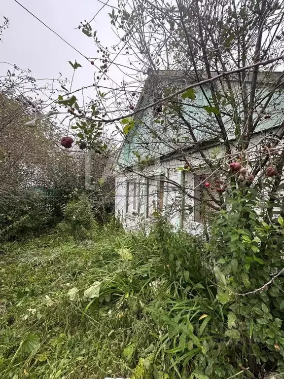 Дом в Челябинская область, Коркинский муниципальный округ, ... - Фото 1