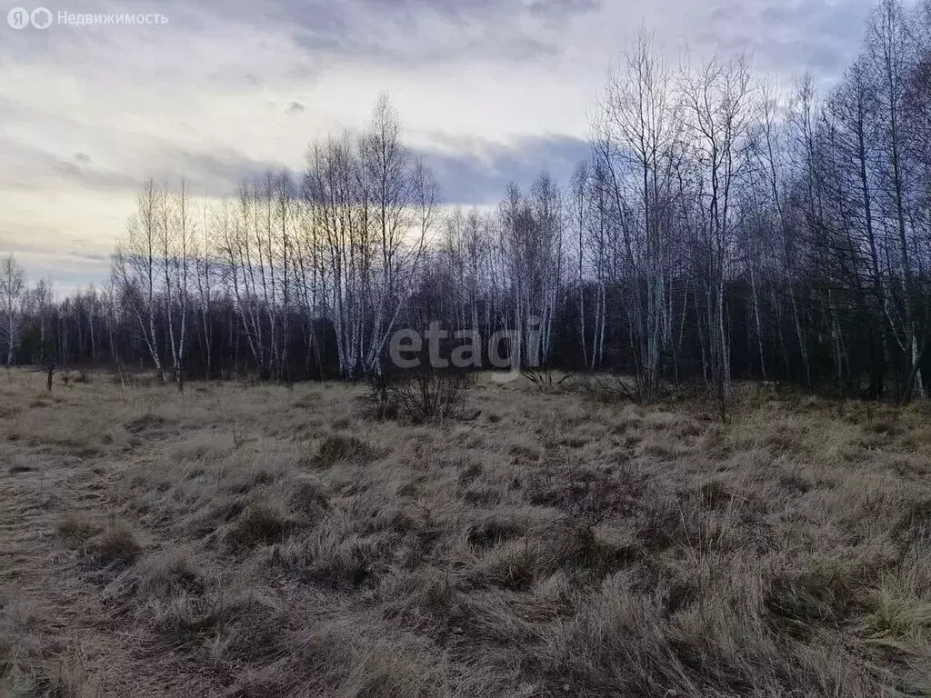 Участок в село Тулиновка, Молодёжная улица (14.3 м) - Фото 1