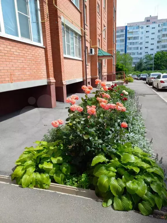 1-к. квартира, 43,8 м, 5/5 эт. - Фото 0
