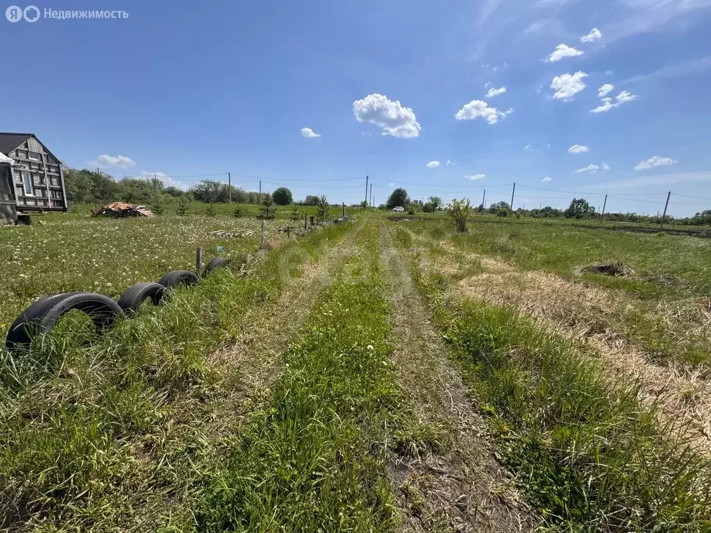 Участок в Республика Мордовия, городской округ Саранск, посёлок ... - Фото 2