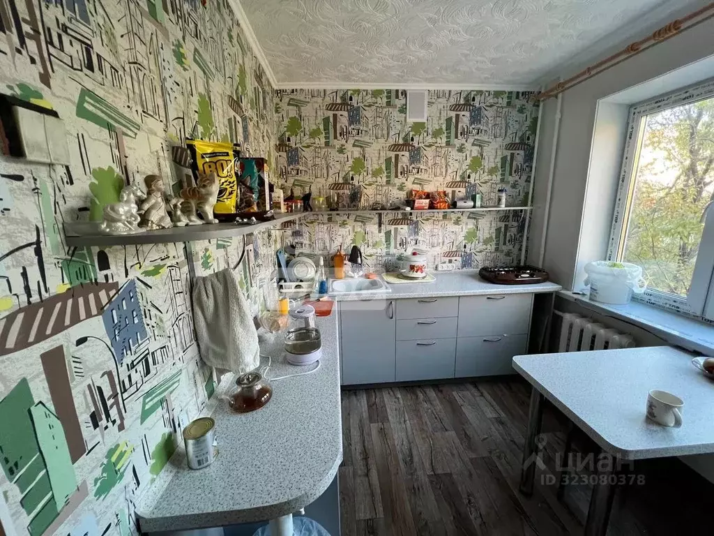 3-к кв. Амурская область, Благовещенск ул. Ленина, 28/2 (71.0 м) - Фото 1