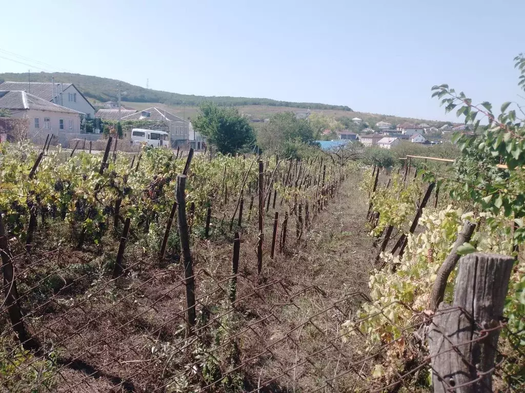 Участок в Краснодарский край, Анапа муниципальный округ, с. Гай-Кодзор ... - Фото 2