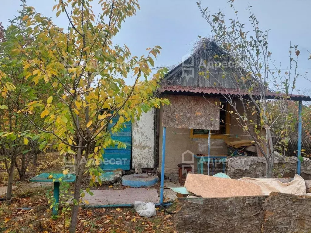 Дом в Волгоградская область, Волгоград Восход СНТ,  (20 м) - Фото 1