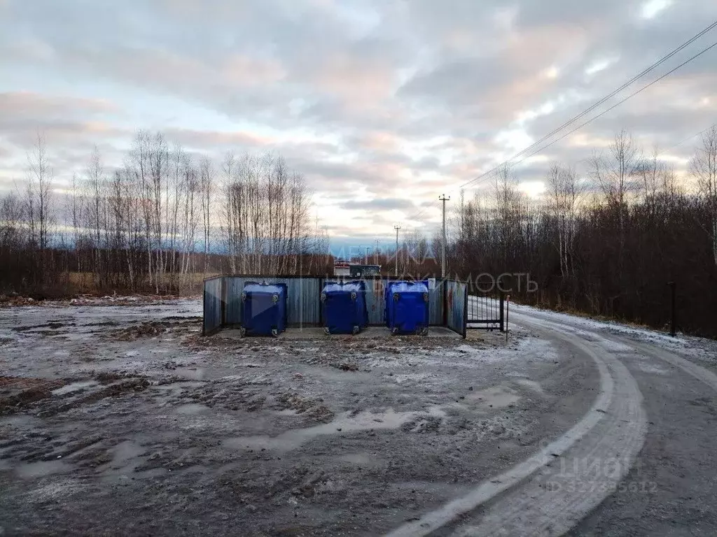 Участок в Тюменская область, Нижнетавдинский муниципальный округ, ... - Фото 0
