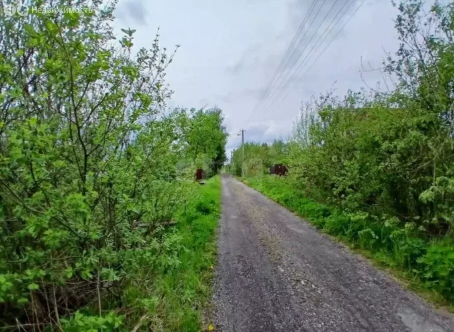 Участок в Кисельнинское сельское поселение, садоводческий массив ... - Фото 2