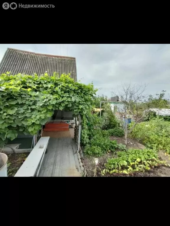 Участок в Димитровград, СНТ Мичуринец (8 м) - Фото 2