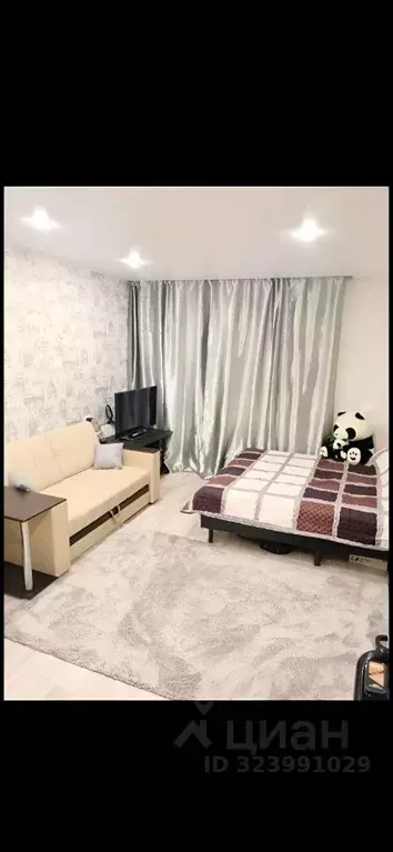 Комната Белгородская область, Белгород ул. Горького, 78 (19.0 м) - Фото 1