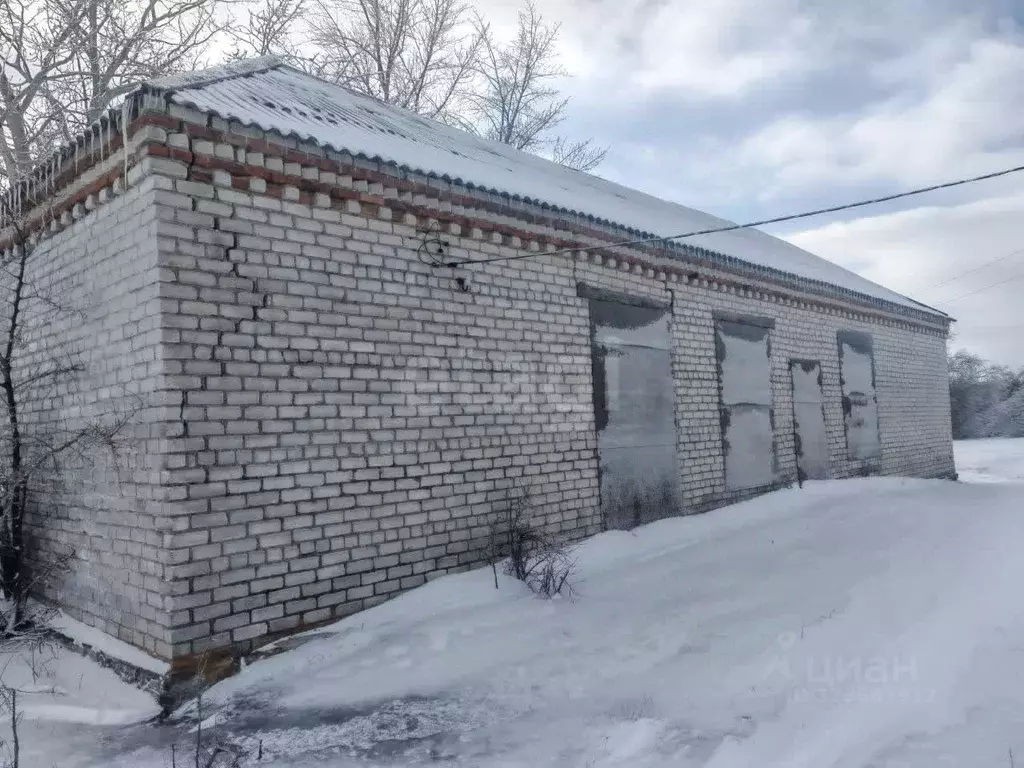 Торговая площадь в Белгородская область, Вейделевский район, ... - Фото 1