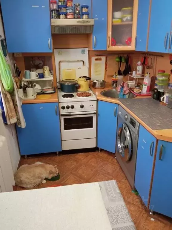 3-к кв. Тюменская область, Тюмень ул. Электросетей, 3 (76.9 м) - Фото 1