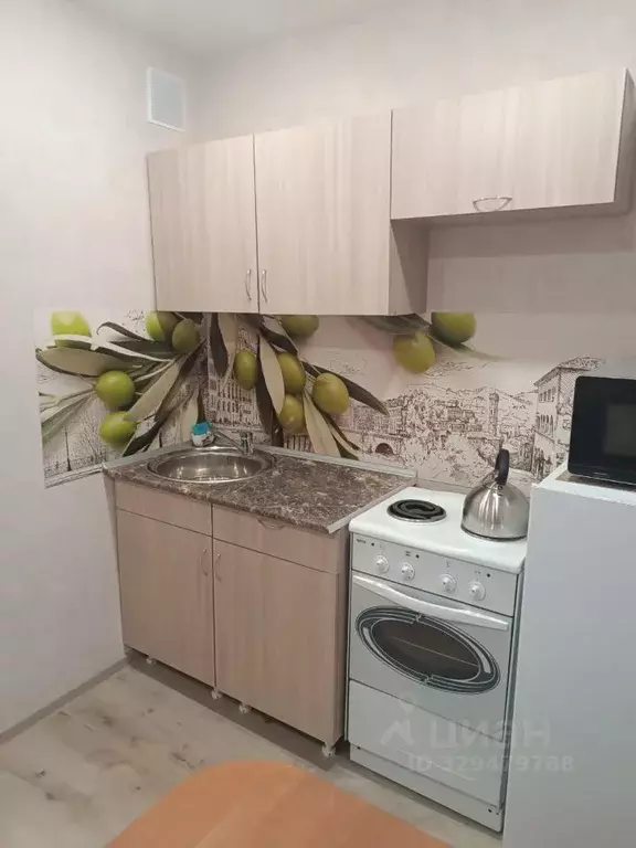 Студия Томская область, Томск Тверская ул., 51 (13.0 м) - Фото 2