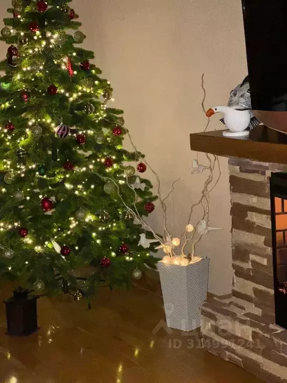 Дом в Краснодарский край, Динской район, Мичуринское с/пос, пос. ... - Фото 1