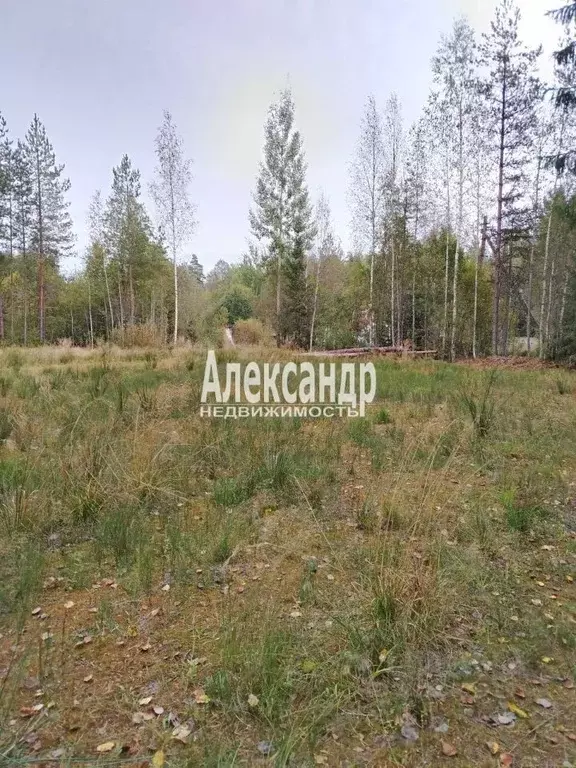 Участок в Ленинградская область, Выборгский район, Гончаровское с/пос, ... - Фото 0