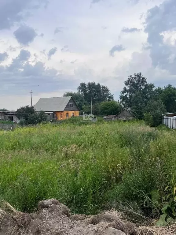 Участок в Новосибирская область, Новосибирский район, с. Толмачево ... - Фото 1