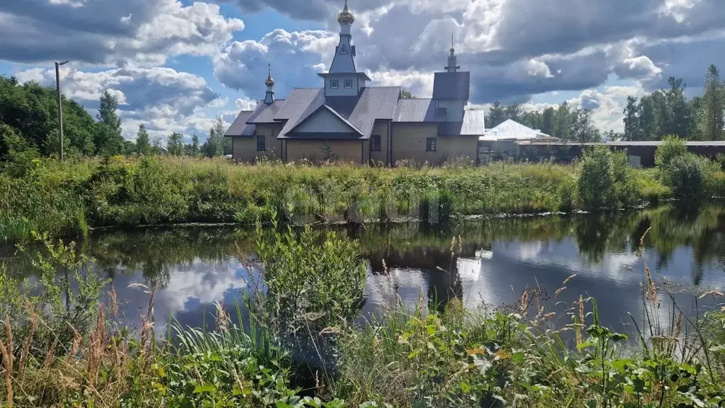 Участок в Ленинградская область, Тосненский район, Красный Бор ... - Фото 1