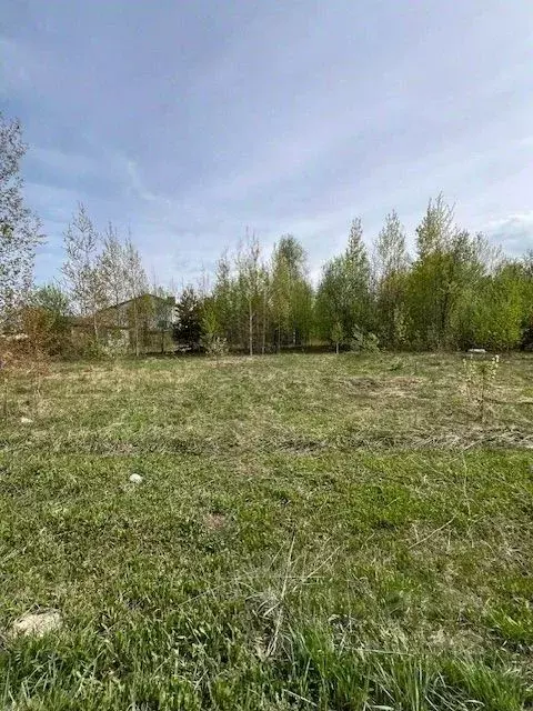 Участок в Нижегородская область, Балахнинский муниципальный округ, ... - Фото 2