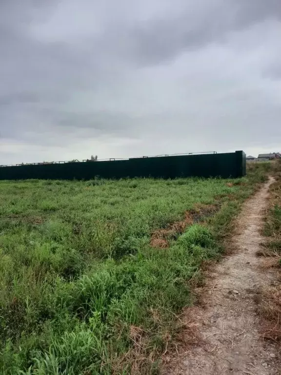 Участок в Курская область, Курский район, Новопоселеновский сельсовет, ... - Фото 2