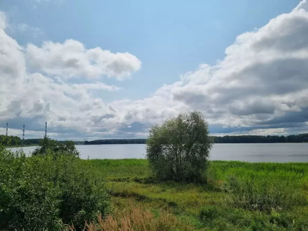 Участок в Костромская область, Красносельский район, Сидоровское ... - Фото 1