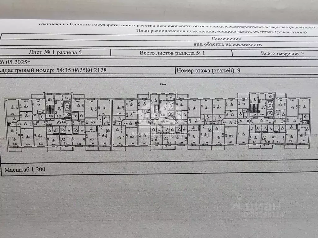 Студия Новосибирская область, Новосибирск Спортивная ул., 41 (26.4 м) - Фото 2