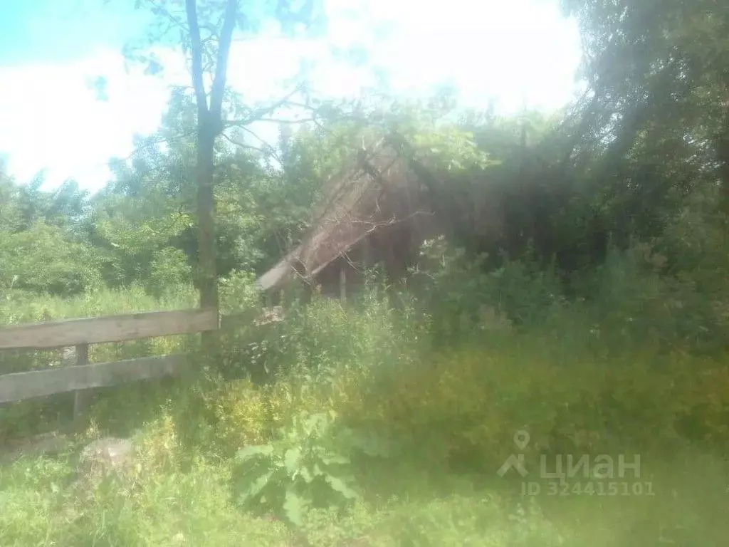 Участок в Брянская область, Мглинский район, Краснокосаровское с/пос, ... - Фото 1