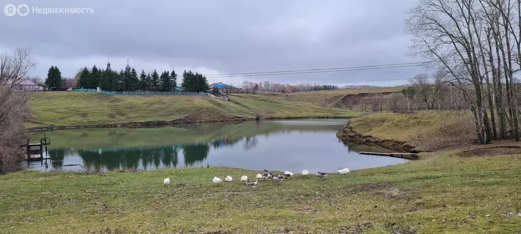 Дом в Чувашская Республика, Моргаушский муниципальный округ, село ... - Фото 0