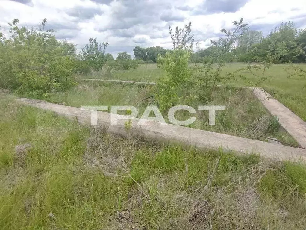 Участок 30 сот. (ИЖС) - Фото 1
