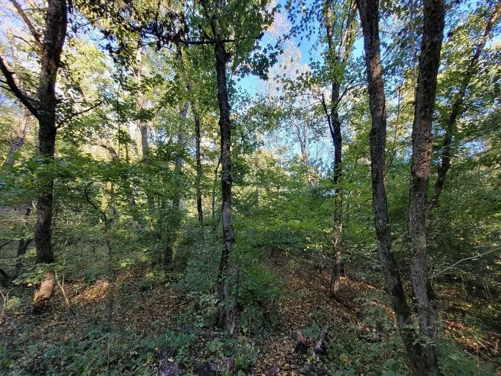 Участок в Краснодарский край, Северский район, Азовское с/пос, ... - Фото 1