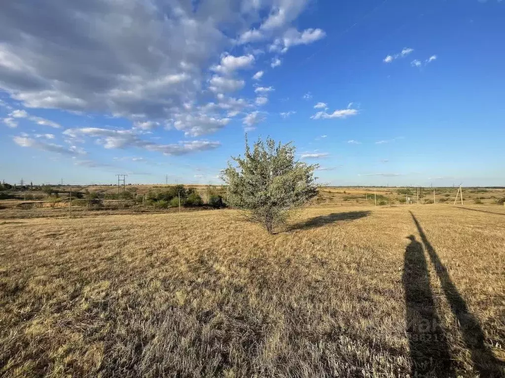 Участок в Ростовская область, Аксайский район, Мишкинское с/пос, Киров ... - Фото 1