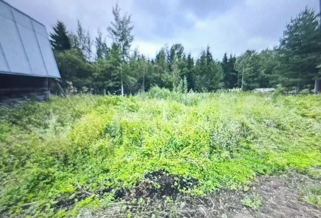 Участок в Вологодская область, Вологда Железнодорожная ул. (8.52 сот.) - Фото 2