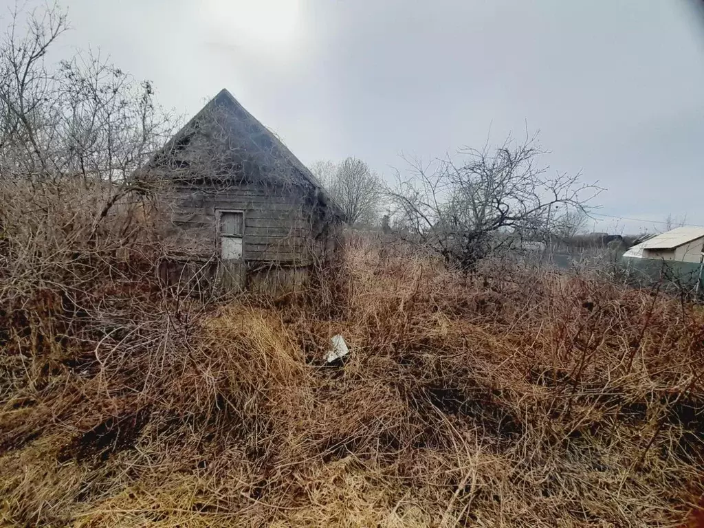Участок в Новгородская область, Новгородский район, Ермолинское с/пос, ... - Фото 1
