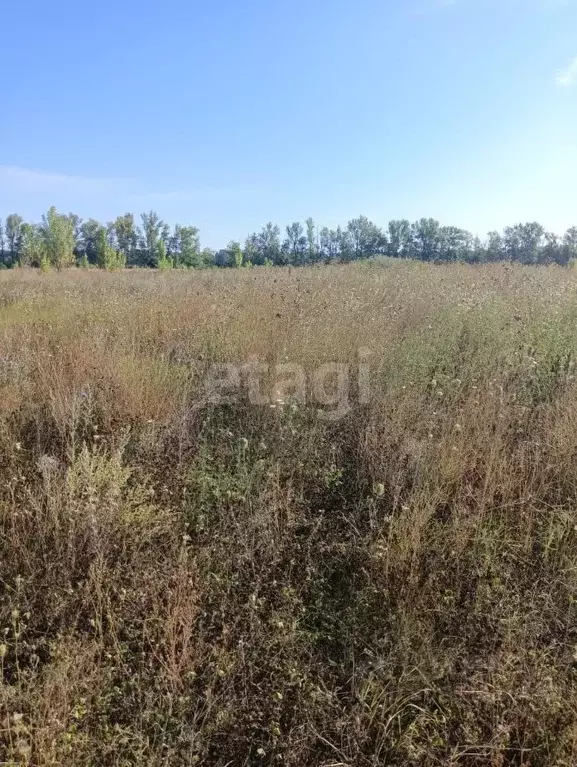 Участок в Белгородская область, Старый Оскол ул. Ивана Пульмана (15.4 ... - Фото 1