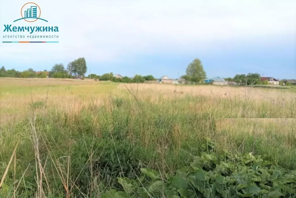 Участок в Ульяновская область, Новомалыклинский район, ... - Фото 1