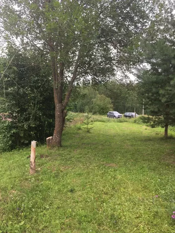 Участок в Владимирская область, Камешковский муниципальный округ, ... - Фото 1