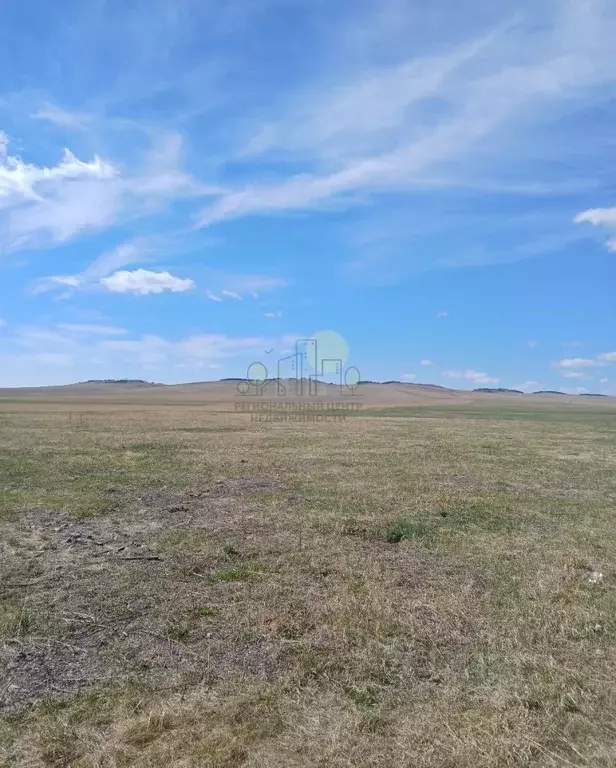 Участок в Иркутская область, Эхирит-Булагатский район, пос. ... - Фото 1