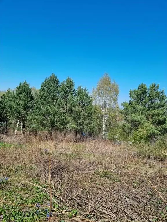 Участок в Кемеровская область, Новокузнецкий муниципальный округ, ... - Фото 2