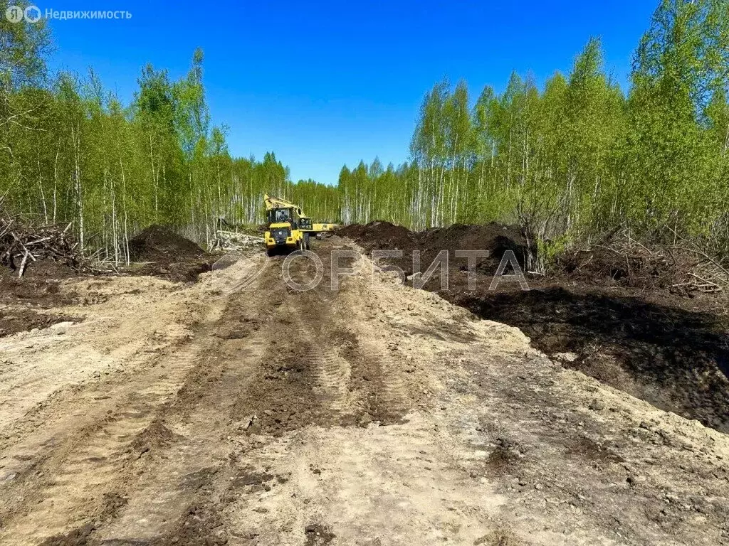 Участок в Тюмень, территория СОСН Березовое Озеро (6.4 м) - Фото 0