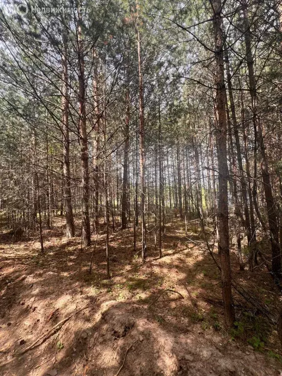 Участок в село Черноусово, Ключевская улица (15 м) - Фото 1