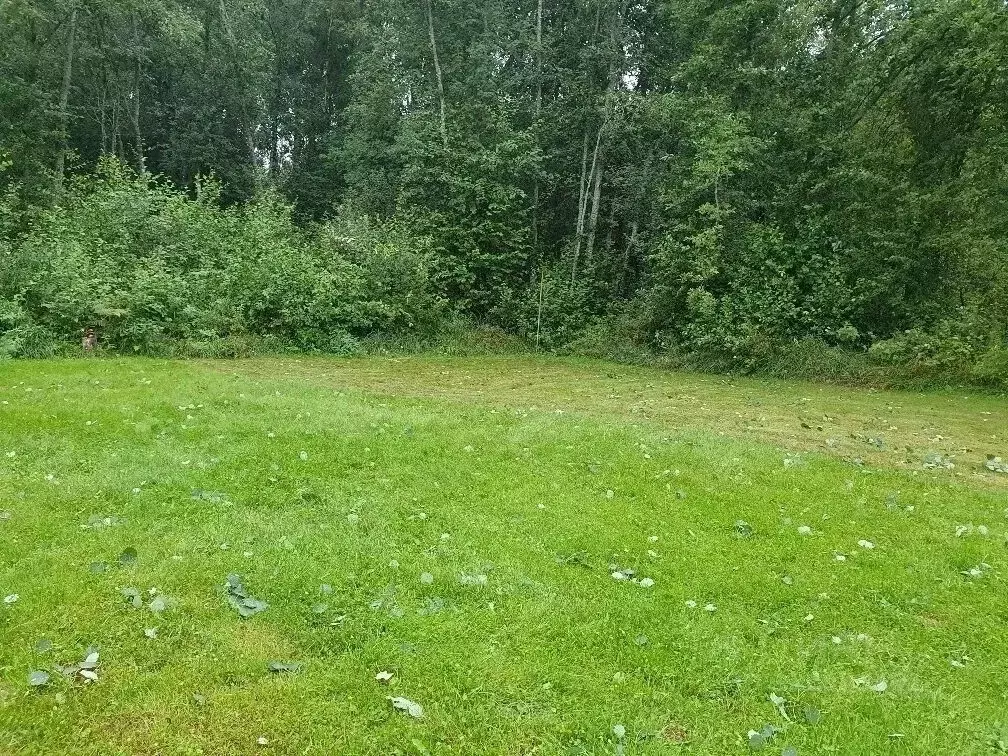 Участок в Ленинградская область, Приозерский район, Красноозерное ... - Фото 1