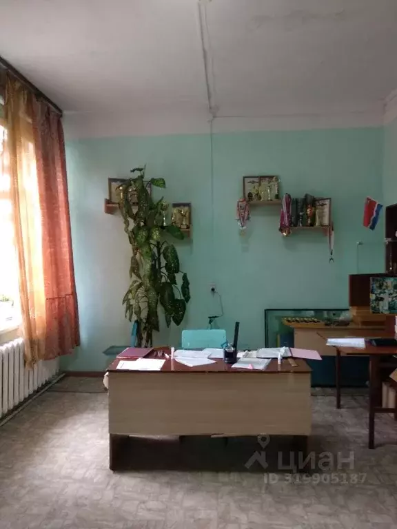 Помещение свободного назначения в Амурская область, с. Тамбовка ул. ... - Фото 1