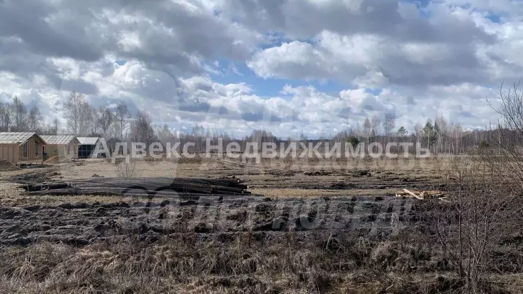 Участок в Тюменская область, Тюмень Царево садовое товарищество, 710 ... - Фото 1