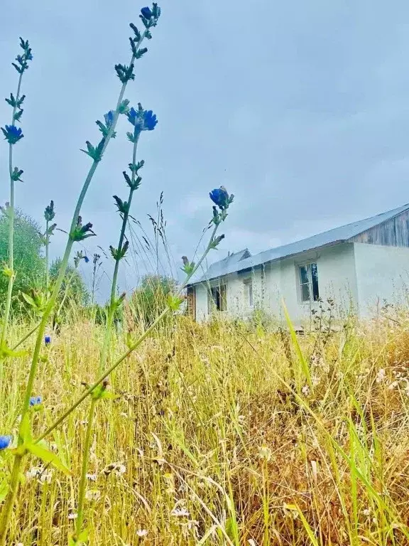 Дом в Коми, Ухта муниципальный округ, пос. Веселый Кут 26 (64 м) - Фото 1