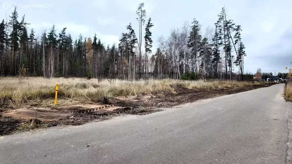 Участок в Ямное, улица Куйбышева (30 м) - Фото 2