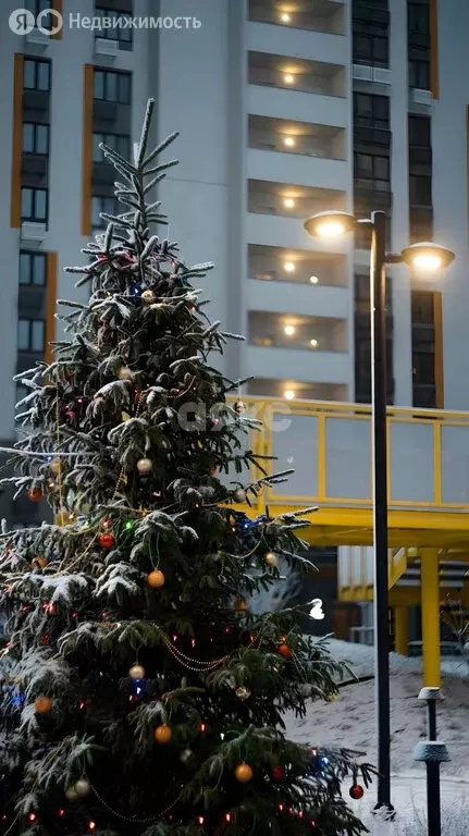 1-комнатная квартира: Липецк, улица Механизаторов, 15А (31.78 м) - Фото 1