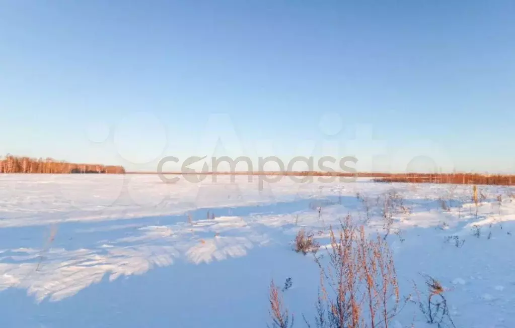 Участок 7,5 сот. (СНТ, ДНП) - Фото 1