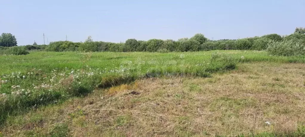 Участок в Тюменская область, Ярковский муниципальный округ, с. ... - Фото 1