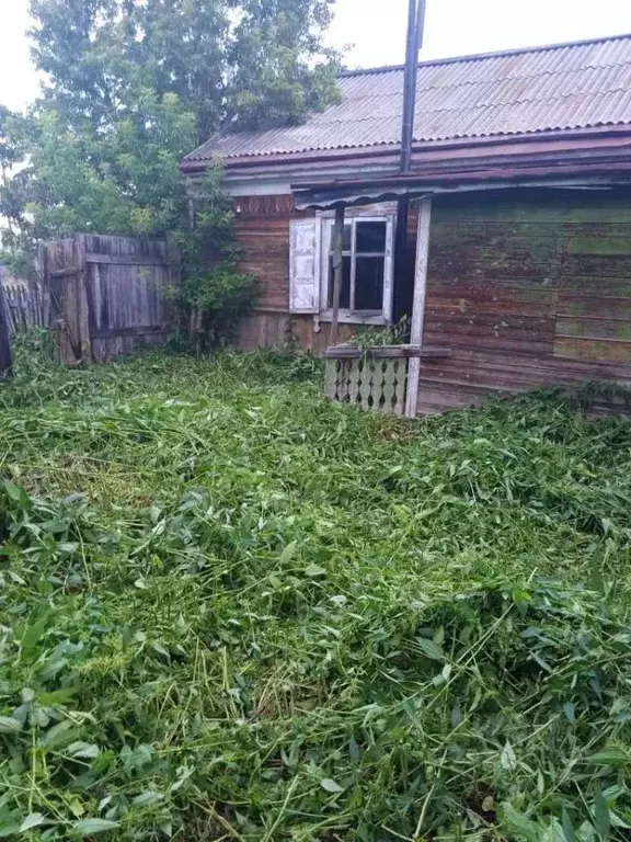 Участок в Омская область, Азовский район, Сосновское с/пос, с. ... - Фото 2