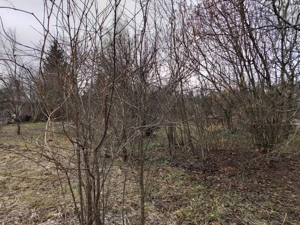 Участок в Московская область, Солнечногорск городской округ, Солнечное ... - Фото 2