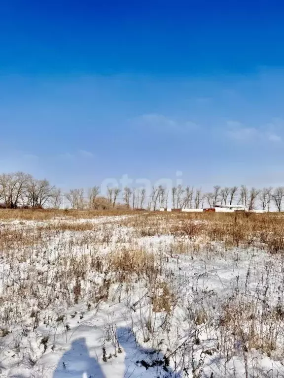 Участок в Белгородская область, Белгородский район, Дубовское с/пос, ... - Фото 0