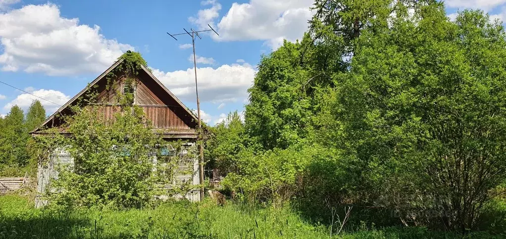 Дом в Тверская область, Торопецкий район, д. Хворостьево  (43 м) - Фото 1