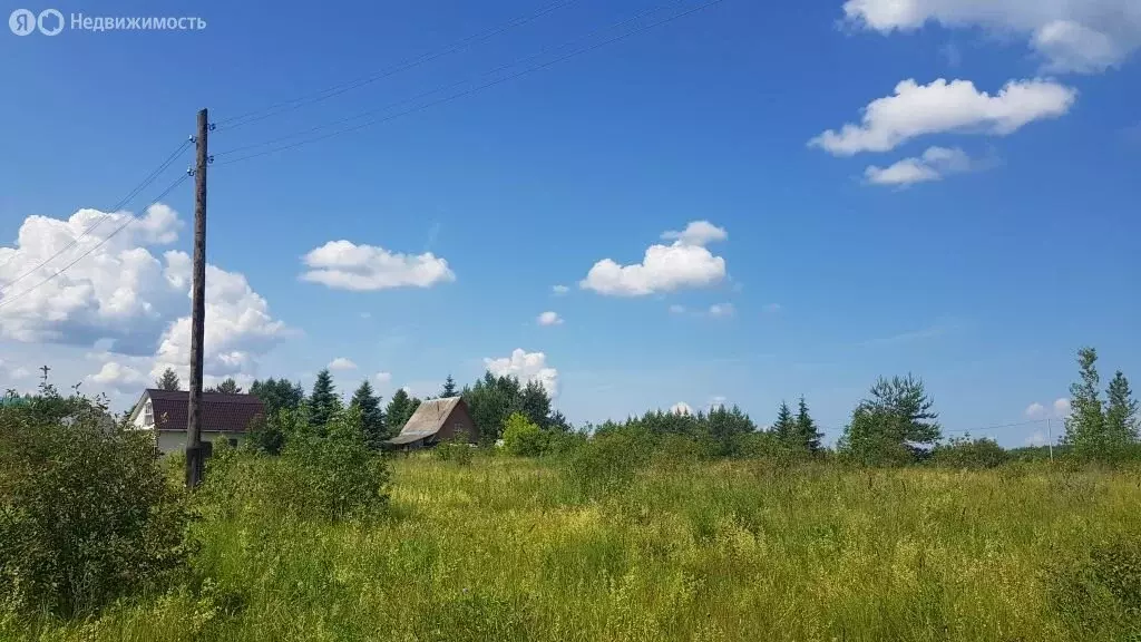Участок в Ярославская область, сельское поселение Некрасовское, село ... - Фото 0