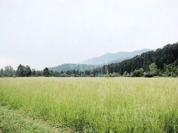 Участок в Белгородская область, Белгородский район, Головинское с/пос, ... - Фото 2